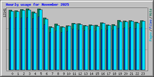 Hourly usage for November 2025
